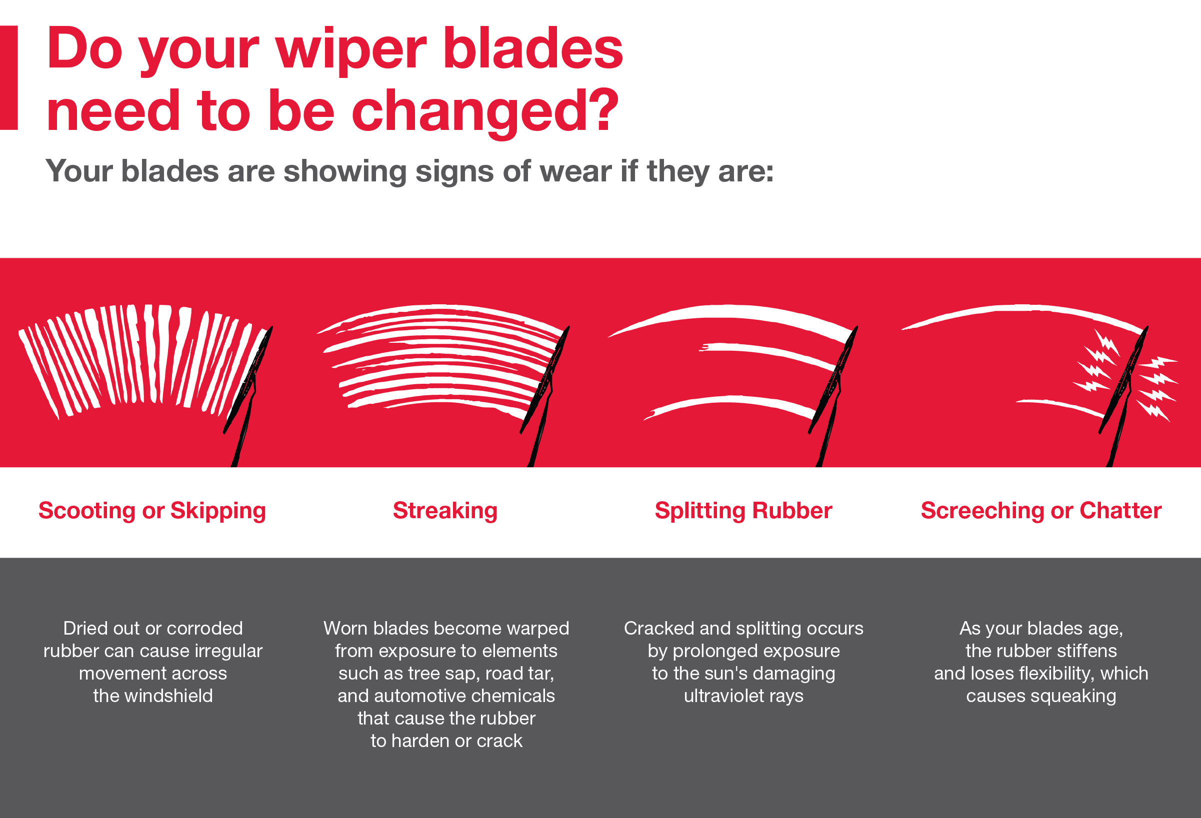Do your wiper blades need to be changed | Toyota of Bellevue in Bellevue WA